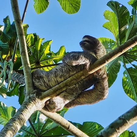 Into The Greens Madre de Dios エクステリア 写真