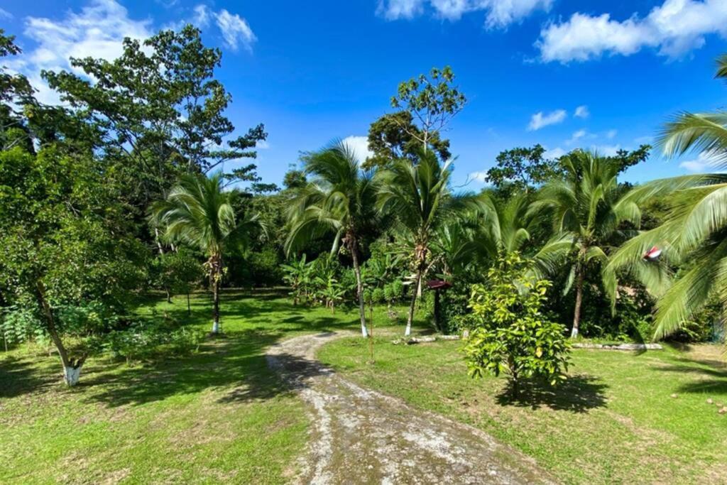 Into The Greens Madre de Dios エクステリア 写真