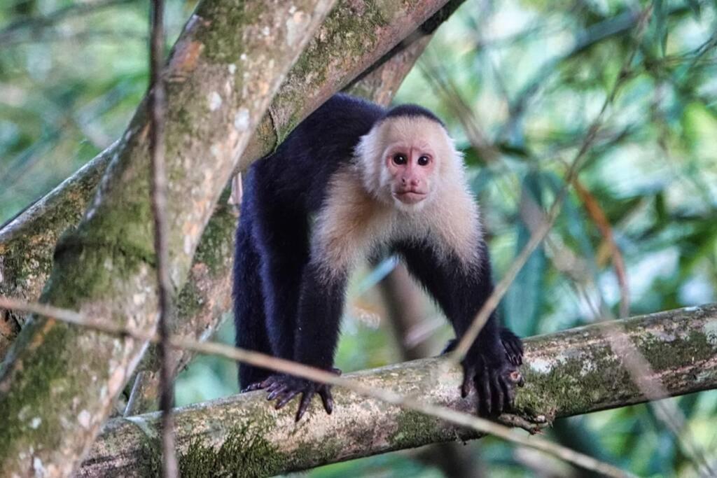 Into The Greens Madre de Dios エクステリア 写真