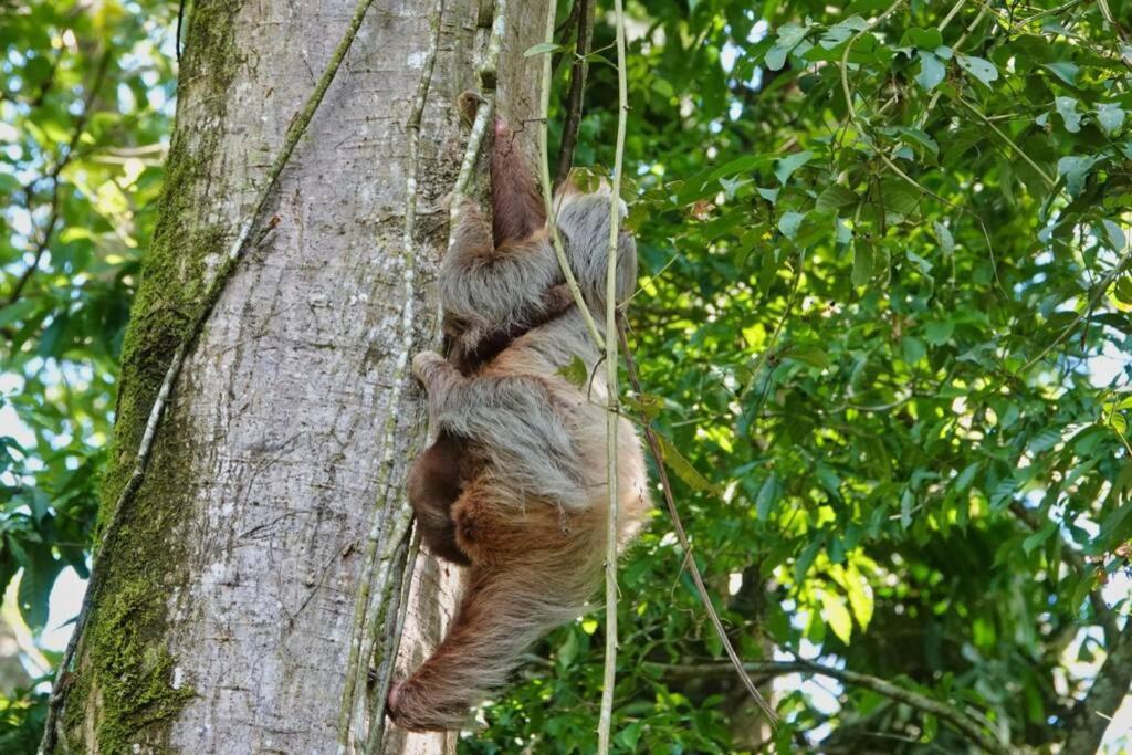 Into The Greens Madre de Dios エクステリア 写真